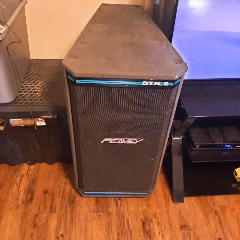 2 peavey DTH 2 band speakers